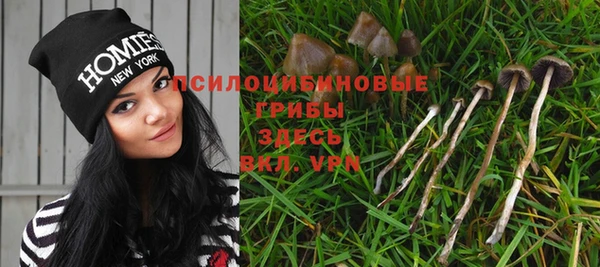 PSILOCYBIN Весьегонск