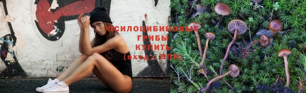 прущая мука Армянск
