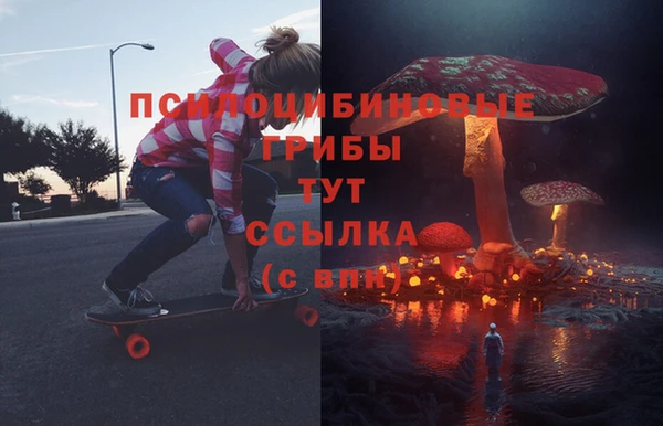 твердый Алексин