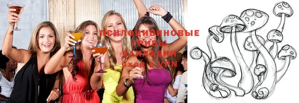 дмт Нефтегорск
